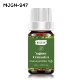 Yağmur Ormanı Esans thumbnail 1