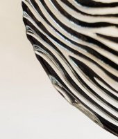 ZEBRA DESENLİ ŞEFFAF SİYAH ÇİZGİLİ CAM YEMEK TABAĞI (Özel Seri) - 4