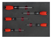 Brio Tornavida Seti Torx (Tork) 5 Parça T10-T30 Sünger Yataklı - 2