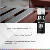 Brio İnox Sprey 400 Ml Açık Renk - 3