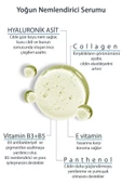 Hyaluronik Asit Yoğun Nemlendirici Ve Canlandırıcı, Pürüzsüz, Dolgunlaştırıcı Cilt Serumu 30 ml - 2