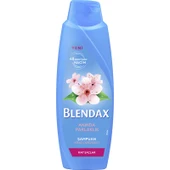 Blendax Anında Parlaklık Ve Yumuşaklık Kiraz Çiçeği Özlü Şampuan 500 ml - 1