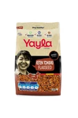 Gurme Keten Tohumu 500 gr - 1
