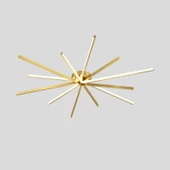 A-5111-110-G LEDLİ PLOFONYER - 1