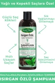 Isırgan Özlü Çam Terebentin Özlü Bitkisel Şampuan - 3