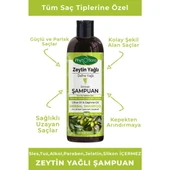 Zeytin Yağlı Defne Yağlı Bitkisel Şampuan thumbnail 3