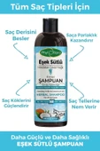 Eşek Sütlü Hindistan Cevizi Yağlı Bitkisel Şampuan - 3