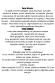 Esnek Tıbbi Flaster 5m*5 Cm 2 ADET - 3