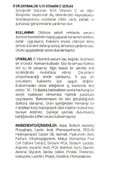 Vitamin C %15 Yoğun Formül Premium seri Ton Eşitleyici Aydınlatıcı Yüz Serumu 30ml Tüm Ciltler Için - 3