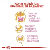 Royal Canin British Shorthair Kitten Yavru Kedi Maması 2 Kg - 4