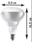 (8 Adet) 250W Kızılötesi (infrared) Isıtıcılı Hayvan Isıtma ve Kuluçka Lambası (Sarı Işık) E27 (Kalın Duy) - 4
