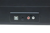 Crownwell Şarjlı Bluetoothlu Önden Hoparlörlü Çantalı Pikap Siyah (C0094) - 3