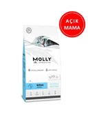 Molly Kitten Düşük Tahıllı Tavuklu Yavru Kedi Maması 1 Kg AÇIK - 1