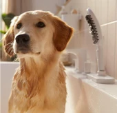 Hansgrohe DogShower Köpek El Duşu 150 3 jet Beyaz 26640700 - 2