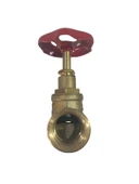 3/4" SARI PAPATYA STOP VANA VN 005 - 1