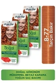 Palette Kalıcı Doğal Renkler Saç Boyası 8-77 Tarçın Bakır Paket 3lu - 1