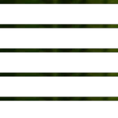 Kediotu Kökü Valerian 50g - 2