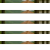 Çoban Çökerten-Demirdikeni 50g thumbnail 2