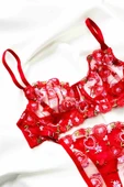 ARONA Lingerie Balenli Kırmızı Sütyen Takımı - 1