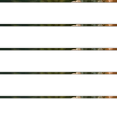 Aslan Pençesi (Testere Dişli) 30g thumbnail 2