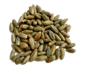 KAPPADOKİA ATALIK ÇAVDAR UNU - 5Kg - 3