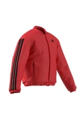 adidas Erkek   Mont ESS 3S INS B J JD1048 - 9