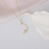 925 Ayar Gümüş Taşlı Ay ve Kutup Yıldızı Kolye thumbnail 3