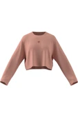 adidas Kadın   Sweatshirt ESS WR LS JD5122 thumbnail 8