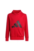 adidas Çocuk   Sweatshirt J BL FT HD 280 JE1389 - 1