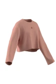 adidas Kadın   Sweatshirt ESS WR LS JD5122 thumbnail 10
