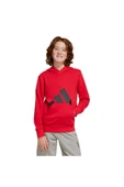 adidas Çocuk   Sweatshirt J BL FT HD 280 JE1389 - 3