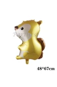 Orman Hayvanları Sincap 6 Yaş Balon Set Balon Folyo Set Konsept Sincap Doğum Günü Set Yaş Balon - 2