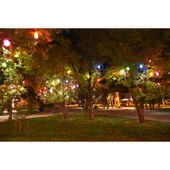 Zerpa 13300 Plastik Ağaç Feneri Soft Beyaz thumbnail 1