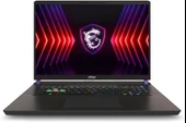 MSI Vector 17 HX A14VIG-879XTR i9-14900HX 32 GB 2 TB SSD RTX4090 17" Gaming Laptop Teşhir - 1