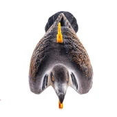 Üveyik Mühresi - Yaprak - Tüylü - Gerçekçi Tasarım - Savage - HDD 011-2R U thumbnail 4