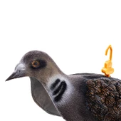 Üveyik Mühresi - Yaprak - Tüylü - Gerçekçi Tasarım - Savage - HDD 011-2R U thumbnail 3