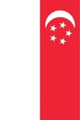 Singapur Gönder Bayrağı  70x105 cm. thumbnail 6