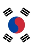 Güney Kore Cumhuriyeti Bayrağı  50x75 cm. thumbnail 4