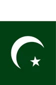 Pakistan Bayrağı  50x75 cm. - 4