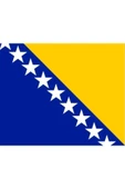 Bosna Hersek Bayrağı  30x45 cm. - 7