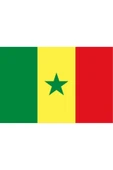 Senegal Gönder Bayrağı  70x105 cm. - 1