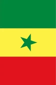 Senegal Gönder Bayrağı  70x105 cm. - 8