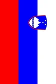 Slovenya Bayrağı  50x75 cm. - 8