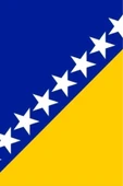 Bosna Hersek Bayrağı  30x45 cm. - 6