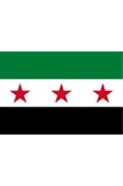 Suriye Bayrağı  50x75 cm. thumbnail 7