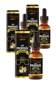 3 Adet Sıvı Propolis Ekstraktı Su Bazlı Damla 30ml X 3 - 1
