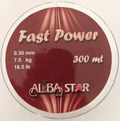 Albastar Fast Power 300 Mt 0.30 mm Misina - 1