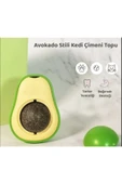 PEKİAL Avokado Catnip Avokado Kedi Çimi Topu Avokado Kedi Nanesi Oyuncağı Yeşil Mayn - 3