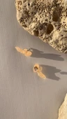 Sedefli Turuncu Renk Melek Şekil Gold Aksesuarlı 3cm Epoksi Küpe El Yapımı Hediyelik - 7