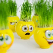 Emoji Şekilli Çim Adam Surat 1 Adet Okul Öncesi Sonrası Etkinlik - 6